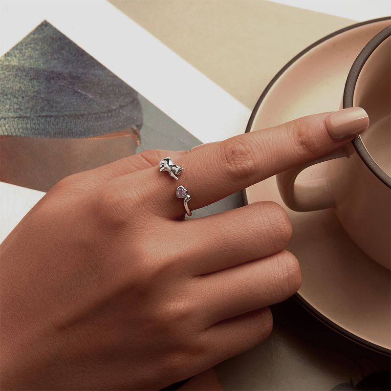 Anillo De Banda Para Gatito