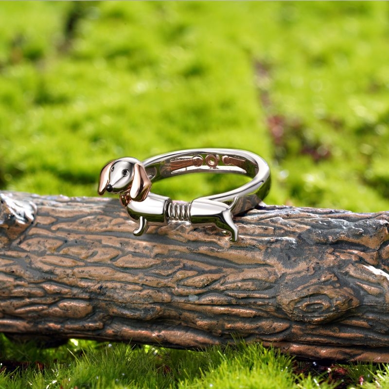 Anillo Spoof de Teckel de Primavera