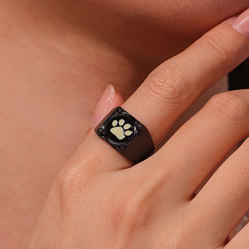 Miraculous Anillo de Cat Noir Que Brilla En La Oscuridad