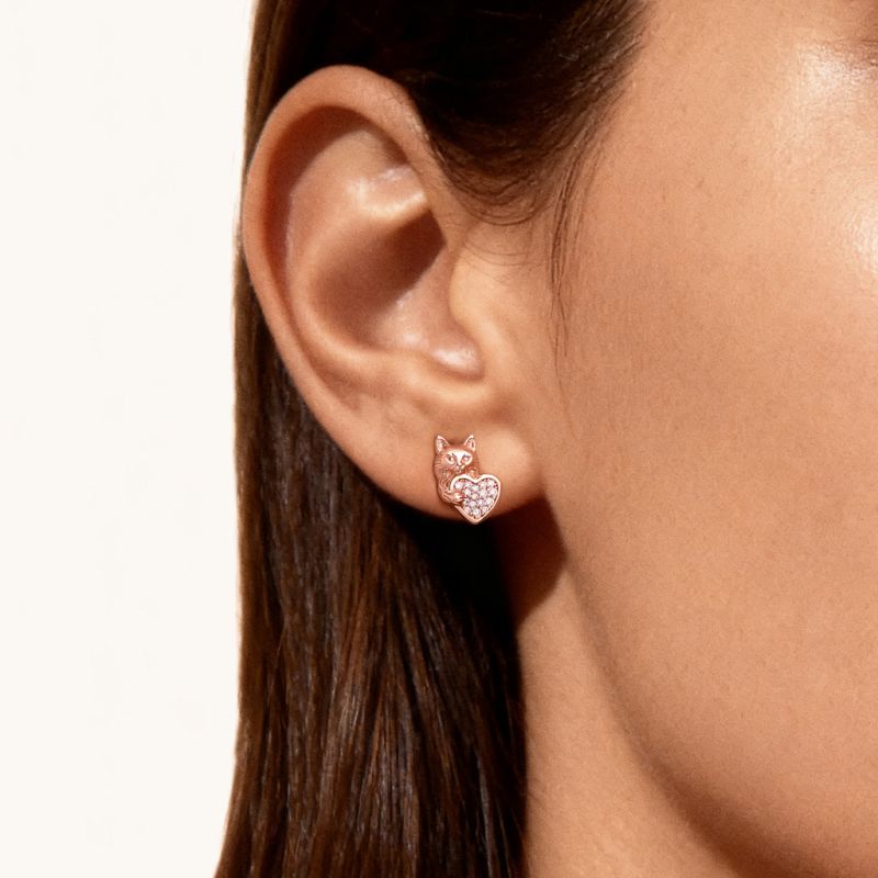 Aretes Maine Coon