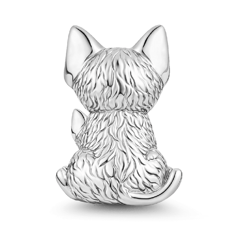 Charm Gato Devon