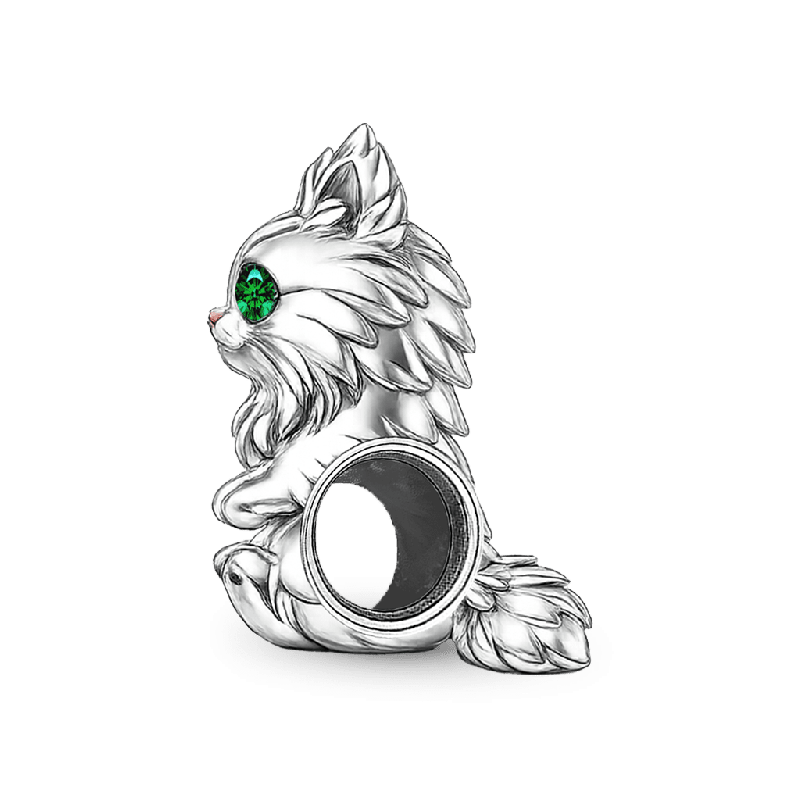 Charm Gato Maine Coon