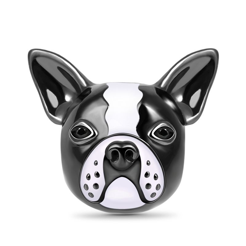 Charm Bulldog / Perro