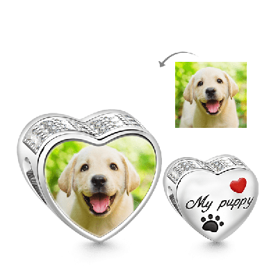 Dulce Memoria de Mi Perro