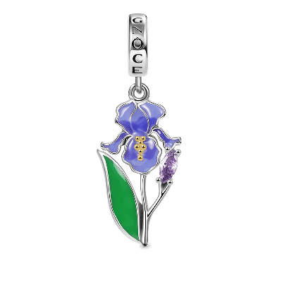 Charm Colgante Iris Morado