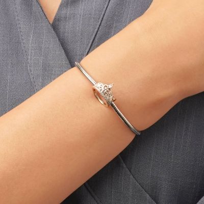 Charm Corona Cenicienta