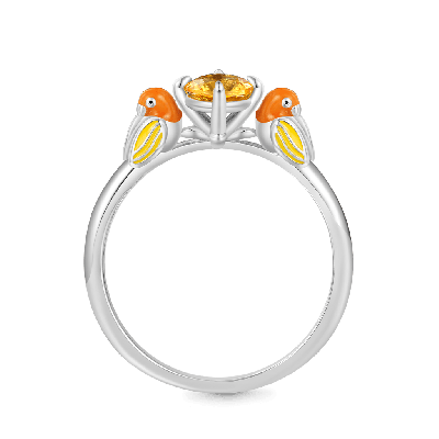 Anillo Abrazo de Loro