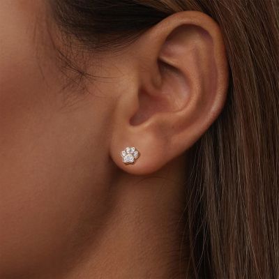 Pendientes de Mascota