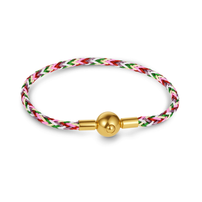 Pulsera Básica Multicolor