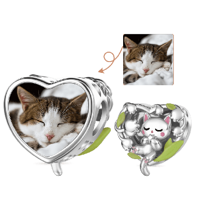 Charm Lirio Gato Foto