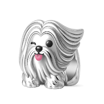 Charm Perro Lhasa Apso