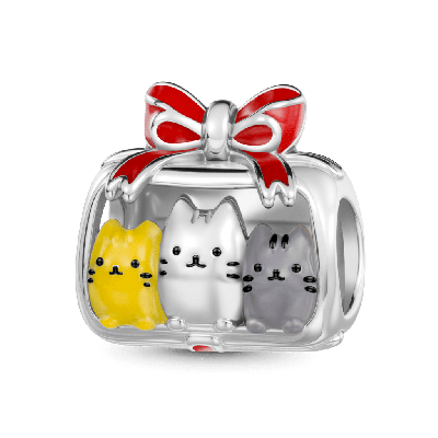 Charm Gato Caja Regalo