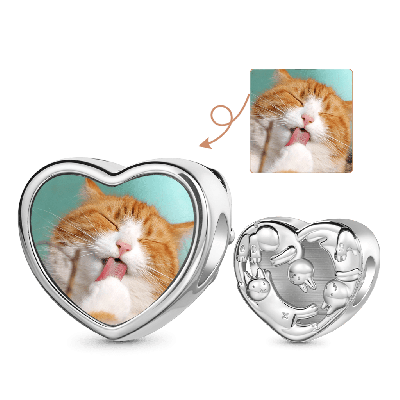 Charm Foto Gatos