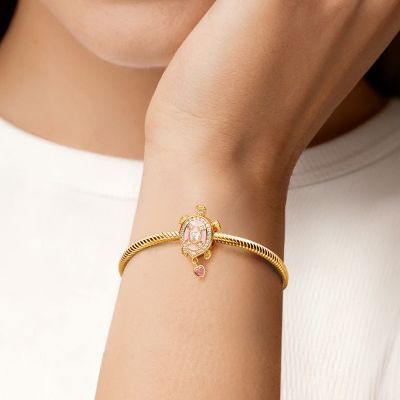 Charm Tortuga Marina