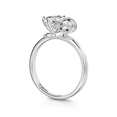 Anillo Abrazo Harry Potter
