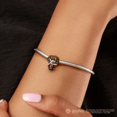 Charm Harry Potter