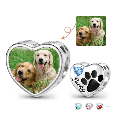 Loving Pet Paw Photo Charm